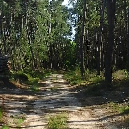De La Rotterie Dom wakacyjny *